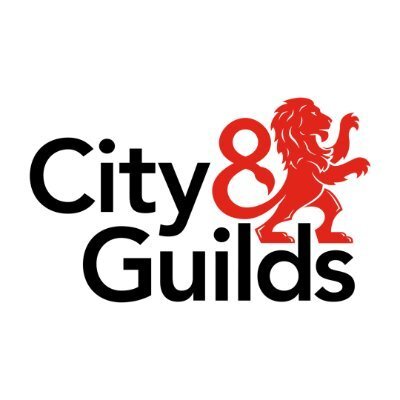 C&G Logo 1 city and guilds logo large